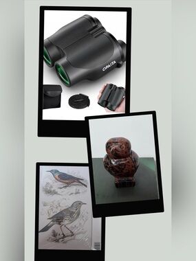 Bird Lover’s Bundle: Compact Binnoculars, Jasper Figurine, 3pk Art Prints New